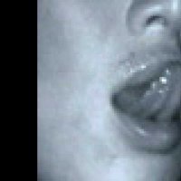 Destricted - Extrait 4 - VO - (2006)