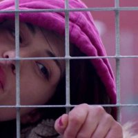 Fiore - Extrait 1 - VO - (2016)