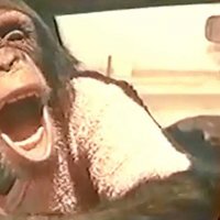 Mookie - Bande annonce 1 - VF - (1998)