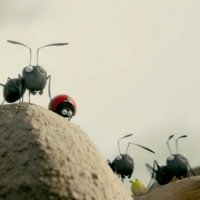 Minuscule - La vallée des fourmis perdues - Extrait 8 - VF - (2013)
