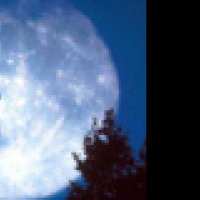 E.T. l'extra-terrestre - Extrait 7 - VF - (1982)
