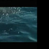 La Planète bleue - Extrait 1 - VF - (2003)