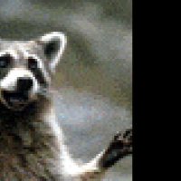 Dr. Dolittle 2 - Extrait 3 - VF - (2001)
