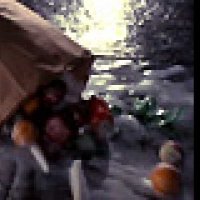 Torch Song Trilogy - Extrait 4 - VO - (1988)