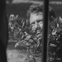 Beaucoup de bruit pour rien - Extrait 6 - VO - (2012)