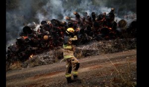 VIDÉO. Au moins 26 morts dans des immenses feux de forêt au Chili