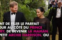 Meghan Markle ancienne star de Suits : le drôle de clin d'œil de la série