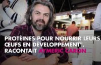 Aymeric Caron défend les moustiques, Eric Naulleau se paie sa tête sur Twitter