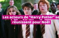 Les acteurs d"Harry Potter" se réunissent pour Noël