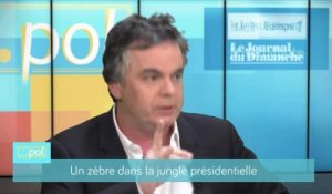 Parrainages: Alexandre Jardin dénonce des "pressions sur les maires"