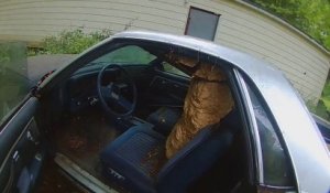 Il trouve un nid de guêpe géant dans sa voiture