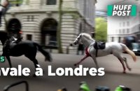 À Londres, deux chevaux de l’armée britannique en cavale en plein centre-ville font au moins quatre blessés
