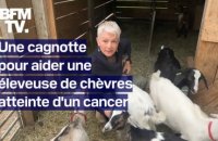 Var: une cagnotte pour venir en aide à une éleveuse de chèvres atteinte d'un cancer