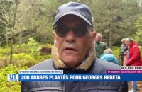 Une plantation d'arbres en hommage à Georges Bereta