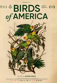 Affiche de Birds of America