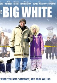 Affiche de The Big White