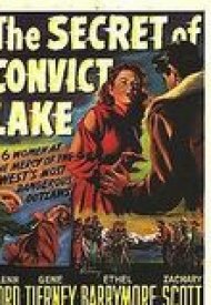 Affiche de L' Énigme du lac noir