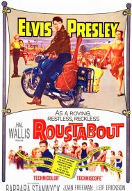 Affiche de L'Homme à tout faire