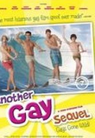 Affiche de Another Gay Sequel: Gays Gone Wild!