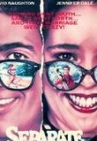 Affiche de Separate vacations