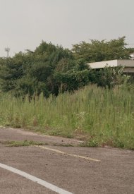 Affiche de Short Vacation
