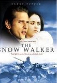Affiche de The Snow walker