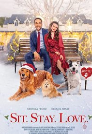 Affiche de Avec toi pour Noël