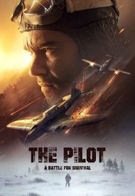 Affiche de The Pilot. A Battle for Survival