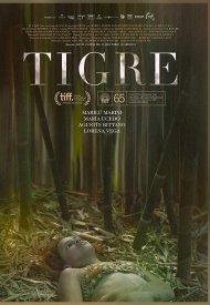 Affiche de Tigre