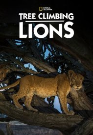 Affiche de Les Lions des arbres