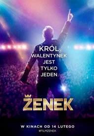Affiche de Zenek, roi du disco polo