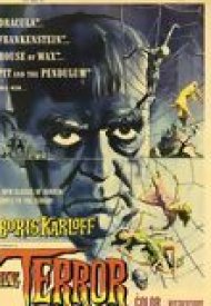 Affiche de L' Halluciné
