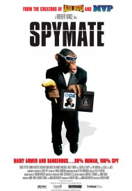 Affiche de Spymate