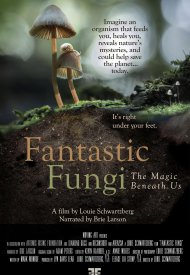 Affiche de Fantastic Fungi