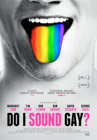 Affiche de Do I Sound Gay?