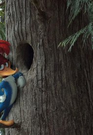Affiche de Woody Woodpecker