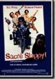Affiche de Sacre Slappy