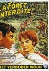 Affiche de La Foret interdite