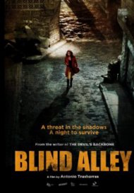 Affiche de Blind Alley