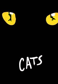 Affiche de Cats