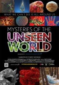 Affiche de Les mystères de l'invisible