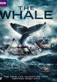Affiche de The Whale