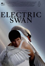 Affiche de Electric Swan