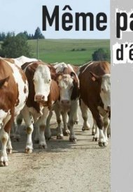 Affiche de Même pas peur... d'être éleveur