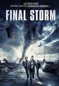 Affiche de The Final Storm