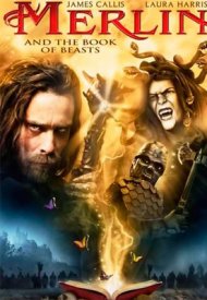 Affiche de Merlin et le livre des sorts