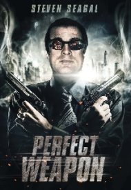 Affiche de The Perfect Weapon