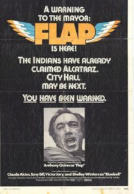 Affiche de L'Indien