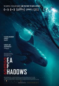 Affiche de Sea of Shadows