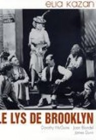 Affiche de Le Lys de Brooklyn